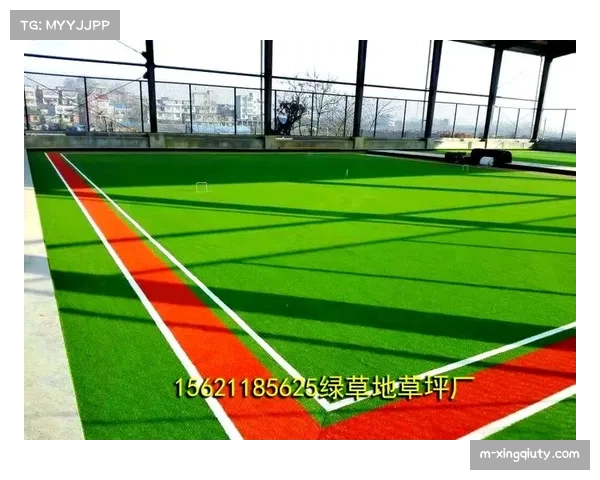 人造草皮禁令提上日程：球员健康与比赛质量推动NBA场地标准变革